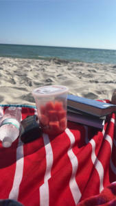 best beach vibes beach watermelon snack book water ocean sand